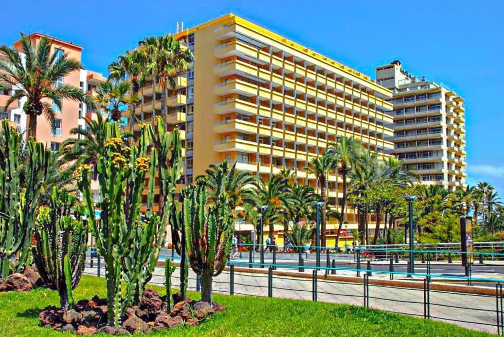 Estudio para dos en Martianez Puerto de la Cruz  Exterior foto